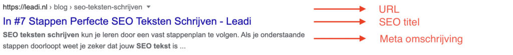 Google snippet van Leadi