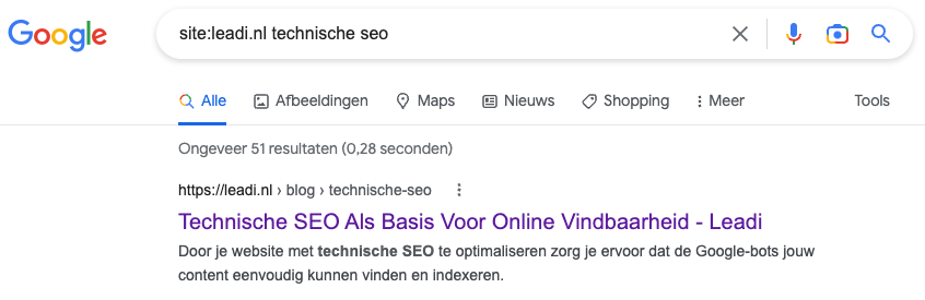 Indexactie controle leadi.nl technische SEO door te Googelen