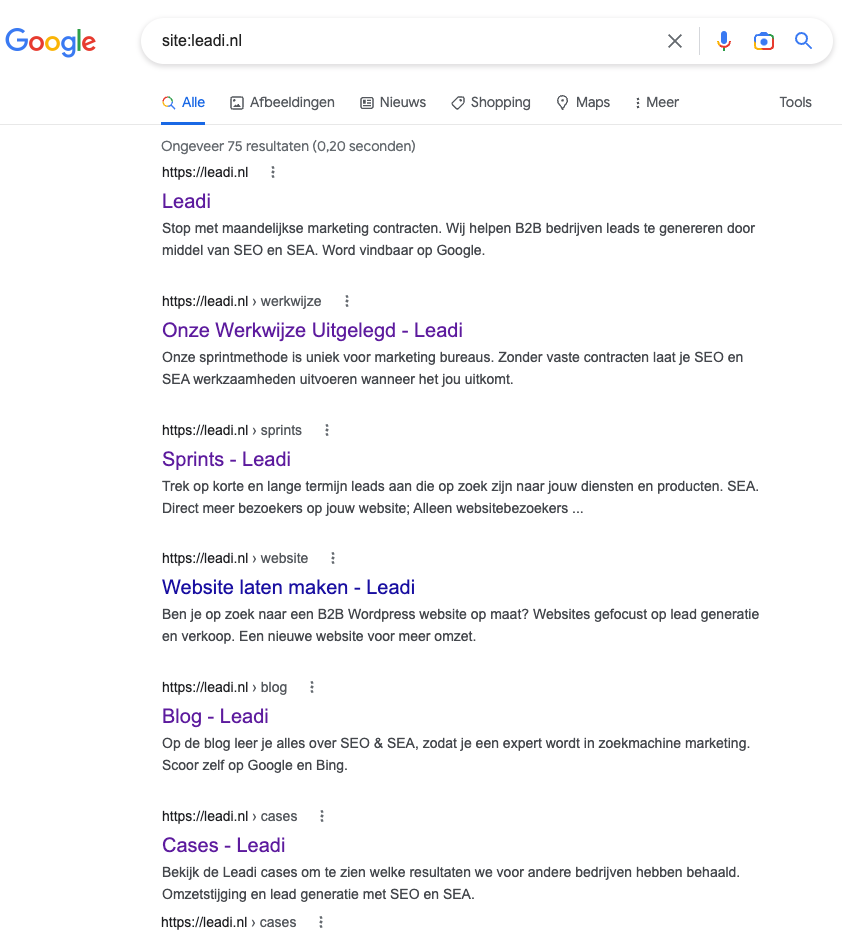 Indexatie controle Leadi.nl door te Googelen