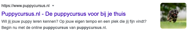 Meta omschrijving puppycursus