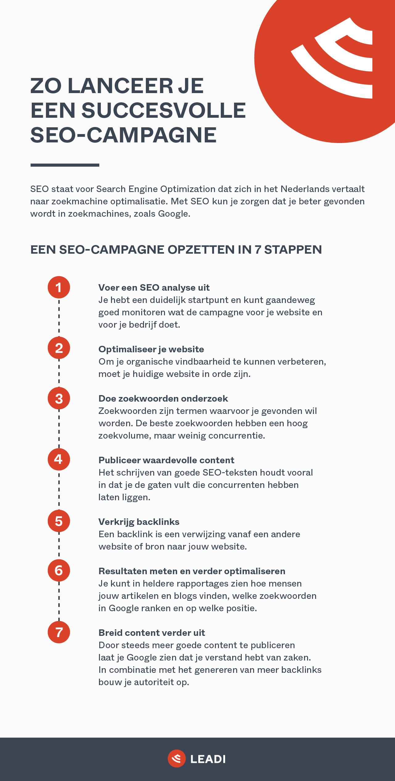 SEO campagne infographic