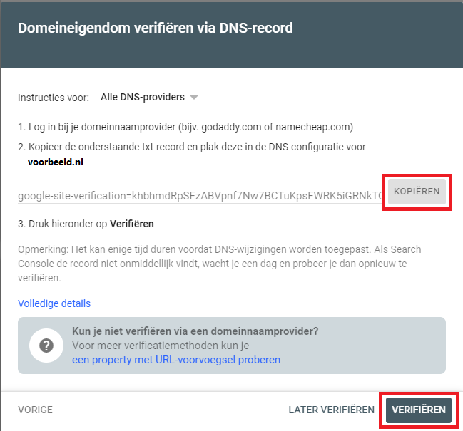 Stap 4. Domeineigendom verifieren Google Search Console met DNS