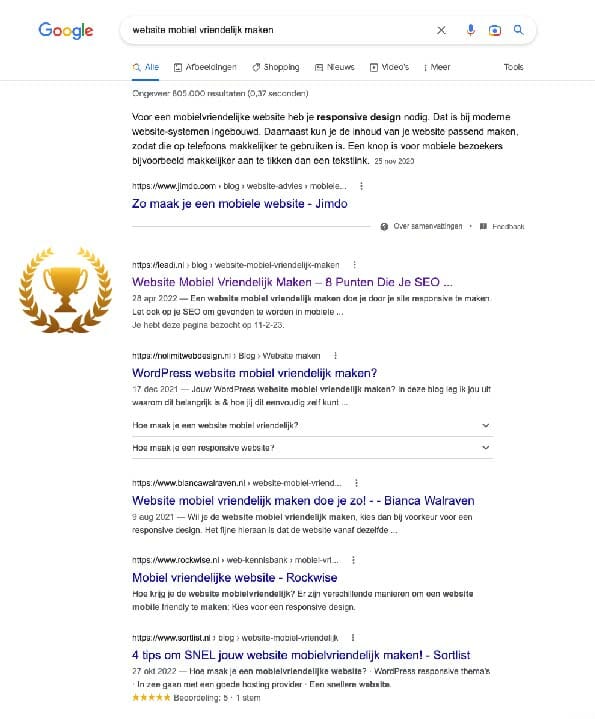 Waar sta ik op Google - Leadi
